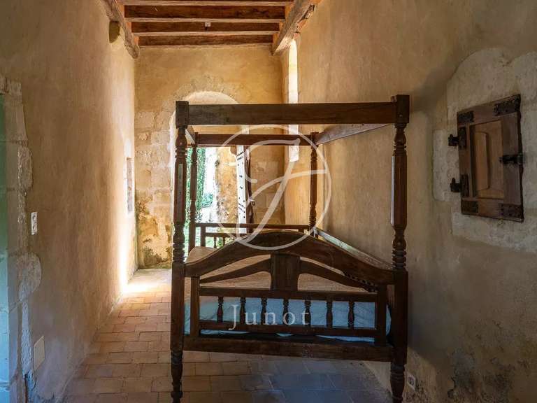 Château Bonneveau - 7 chambres - 400m²