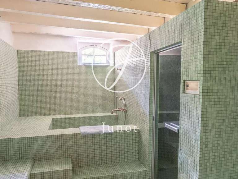 Château Bonneveau - 7 chambres - 400m²