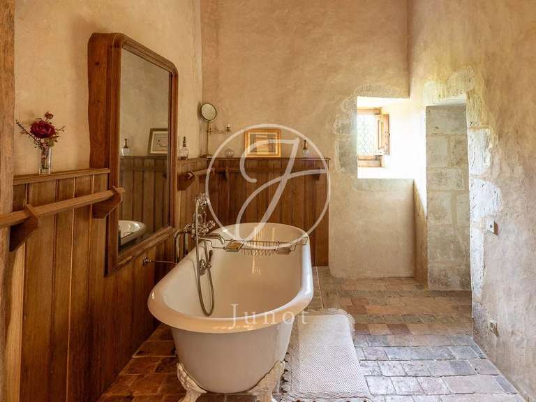 Château Bonneveau - 7 chambres - 400m²