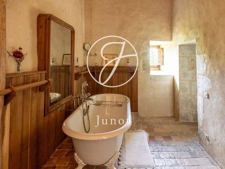 Château Bonneveau - 7 chambres - 400m²