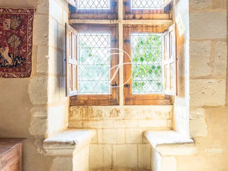 Château Bonneveau - 7 chambres - 400m²