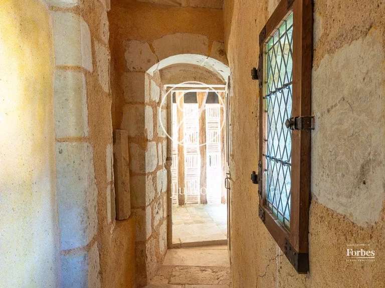 Château Bonneveau - 7 chambres - 400m²