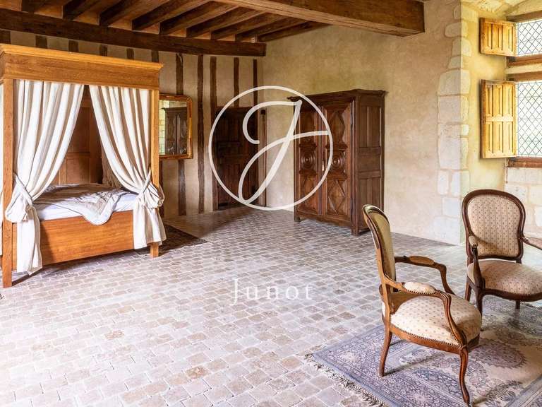 Château Bonneveau - 7 chambres - 400m²