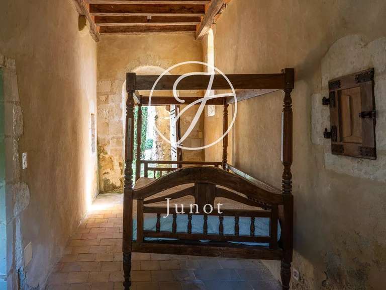 Château Bonneveau - 7 chambres - 400m²