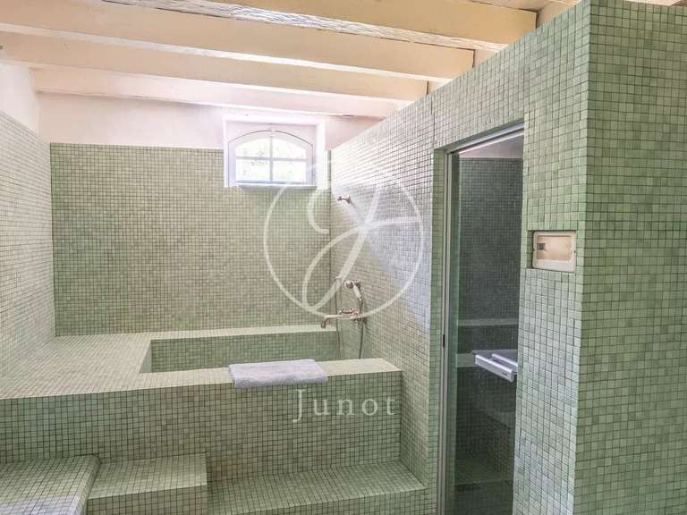 Château Bonneveau - 7 chambres - 400m²