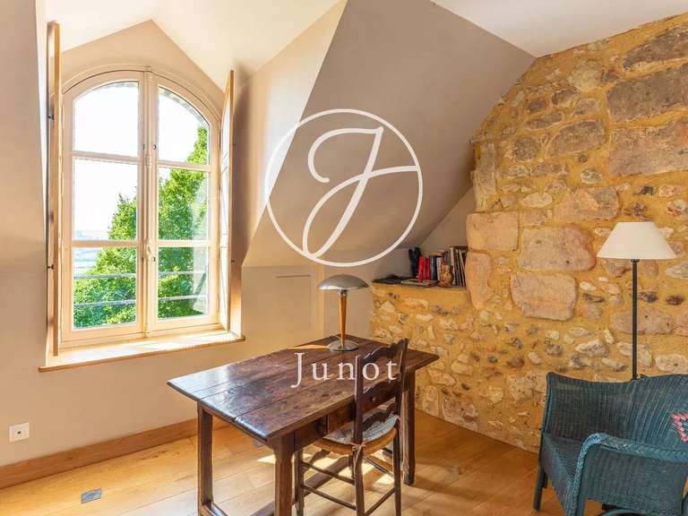 Château Bonneveau - 7 chambres - 400m²