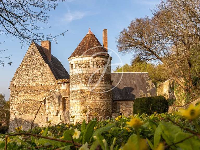 Château Bonneveau - 7 chambres - 400m²