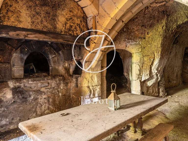 Château Bonneveau - 7 chambres - 400m²