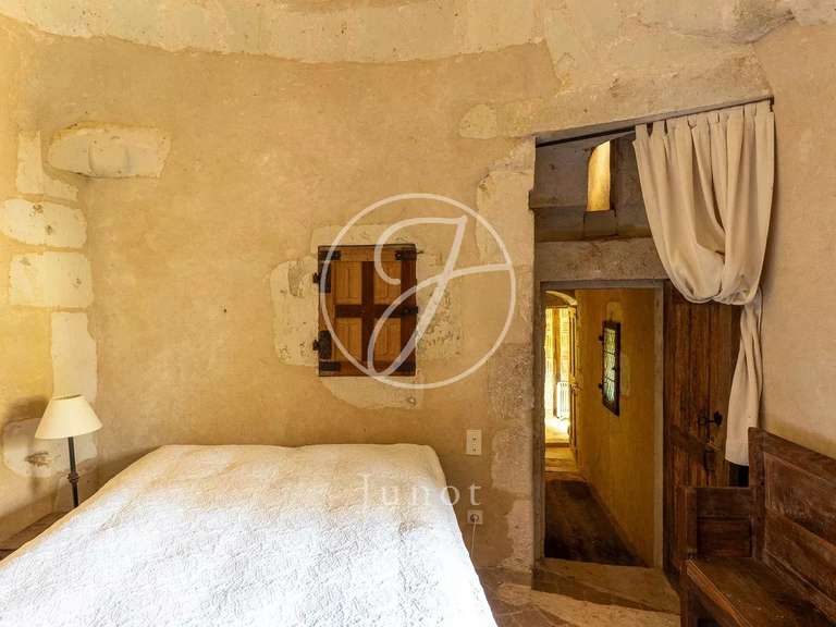 Château Bonneveau - 7 chambres - 400m²