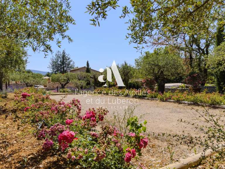 Maison Bonnieux - 8 chambres - 420m²