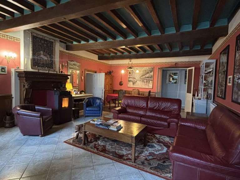 House Bonny-sur-Loire - 12 bedrooms