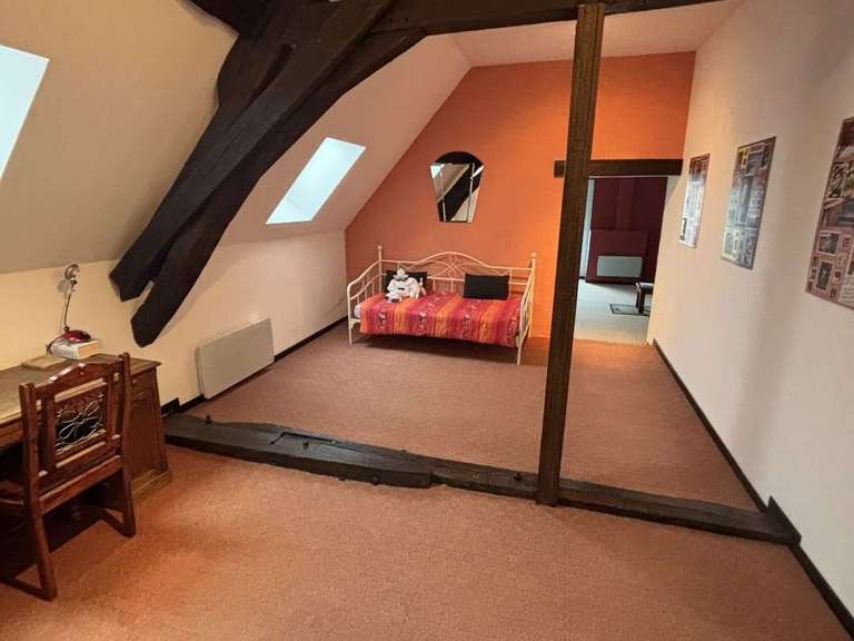 House Bonny-sur-Loire - 12 bedrooms