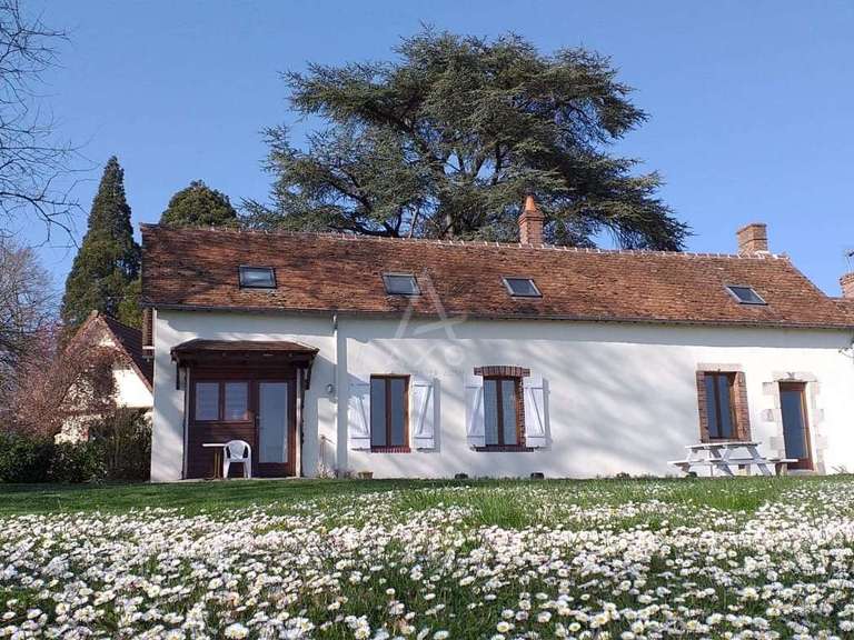 House Bonny-sur-Loire - 12 bedrooms