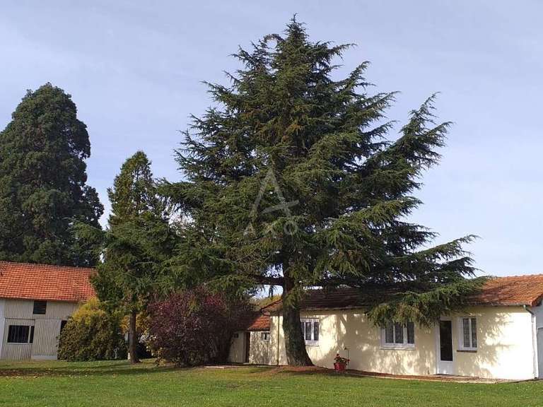 House Bonny-sur-Loire - 12 bedrooms