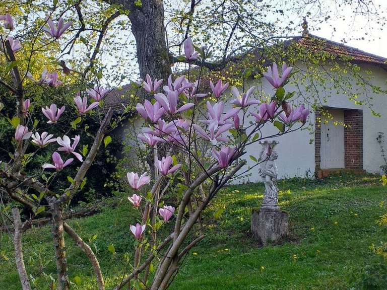 House Bonny-sur-Loire - 12 bedrooms