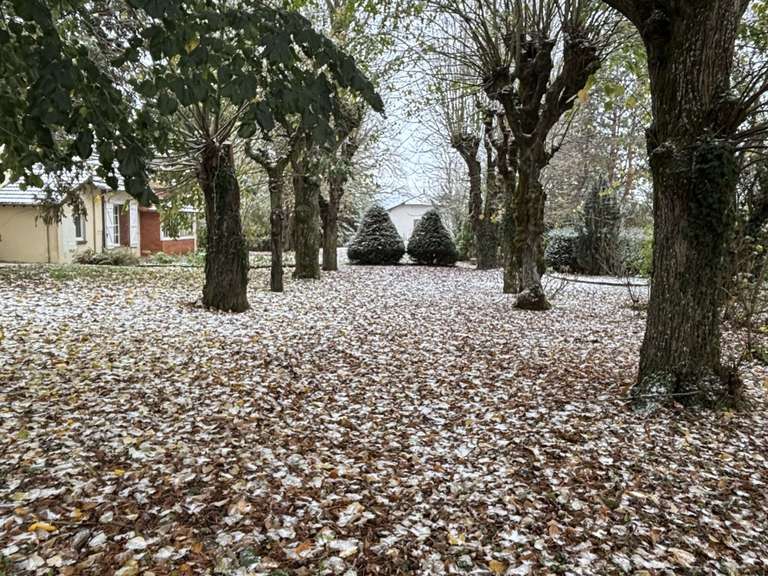 Maison Bonny-sur-Loire - 12 chambres