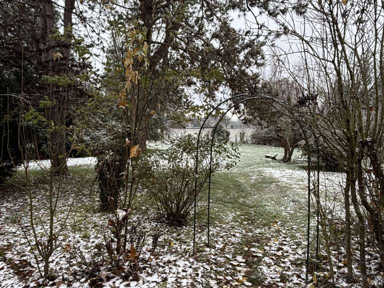 Maison Bonny-sur-Loire - 12 chambres