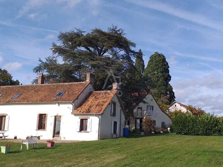 House Bonny-sur-Loire - 12 bedrooms