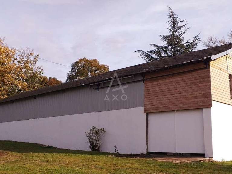 House Bonny-sur-Loire - 12 bedrooms