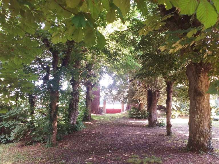 Maison Bonny-sur-Loire - 12 chambres