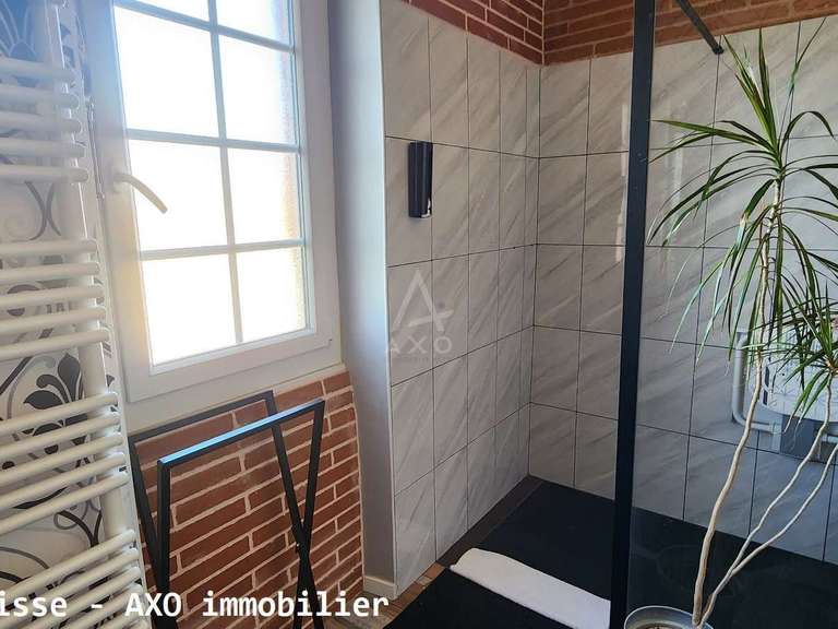 House Bonrepos-Riquet - 4 bedrooms