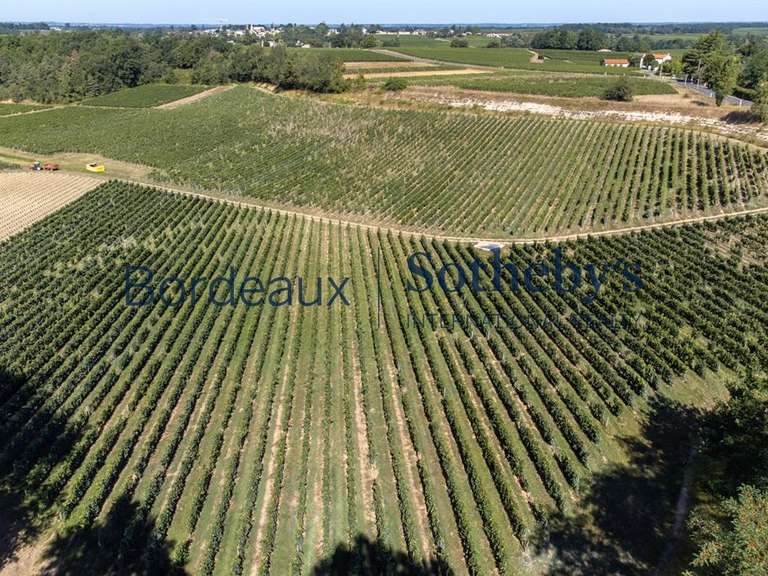 Château Bordeaux - 2000m²