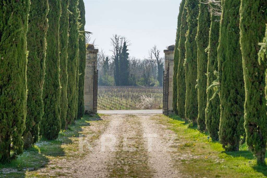 Château Bordeaux
