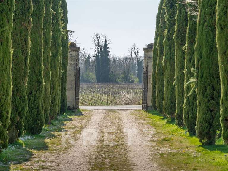 Château Bordeaux - 10 chambres - 955m²