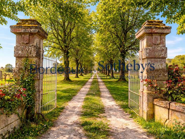 Château Bordeaux - 7 chambres - 550m²