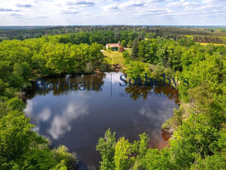 Château Bordeaux - 6 chambres - 450m²