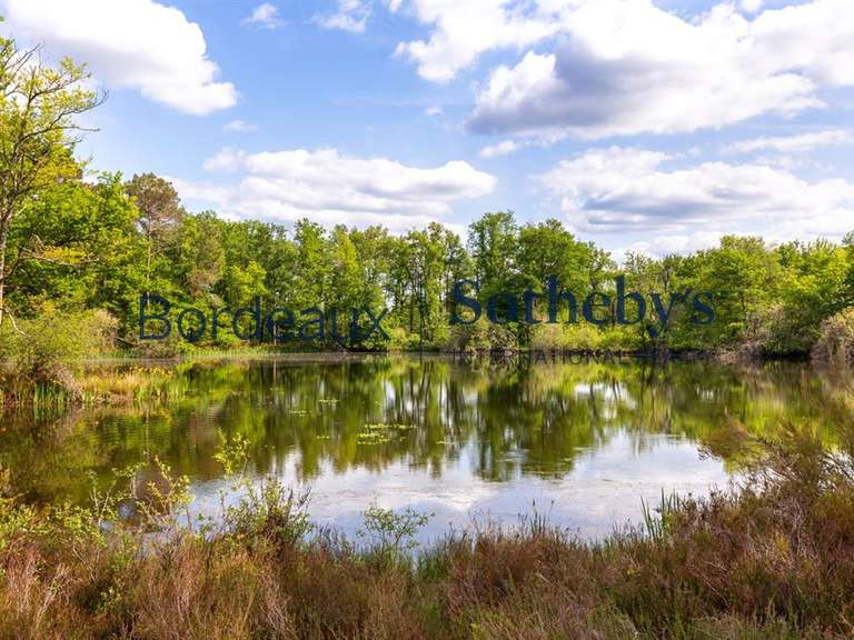 Château Bordeaux - 6 chambres - 450m²