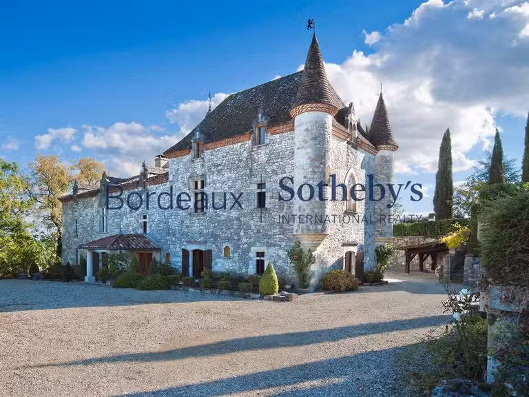 Château Bordeaux - 8 chambres - 1000m²