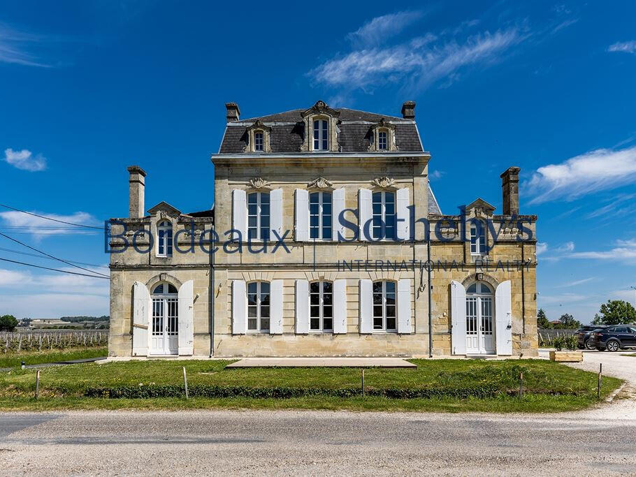 Vineyard Bordeaux