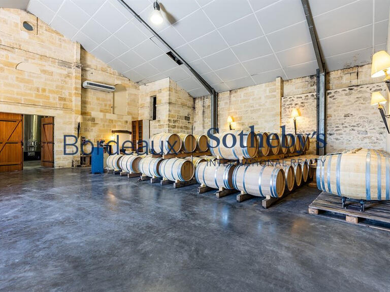 Sale Vineyard Bordeaux - 4 bedrooms