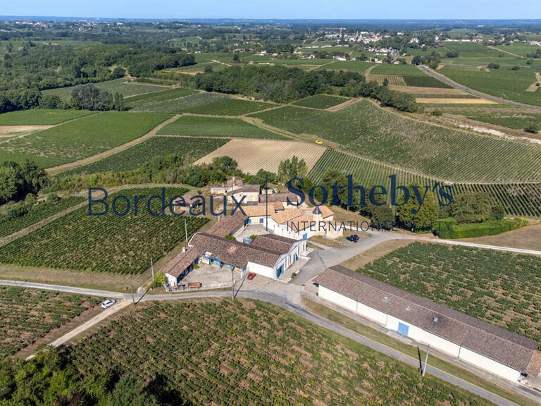 Vente Domaine viticole Bordeaux