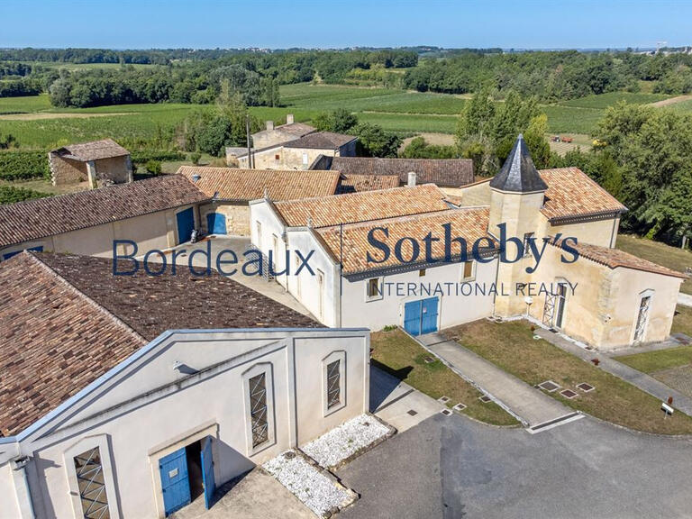 Sale Vineyard Bordeaux