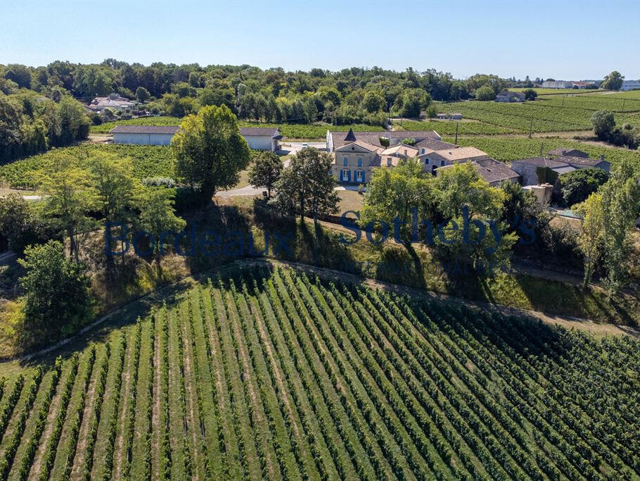 Domaine viticole Bordeaux