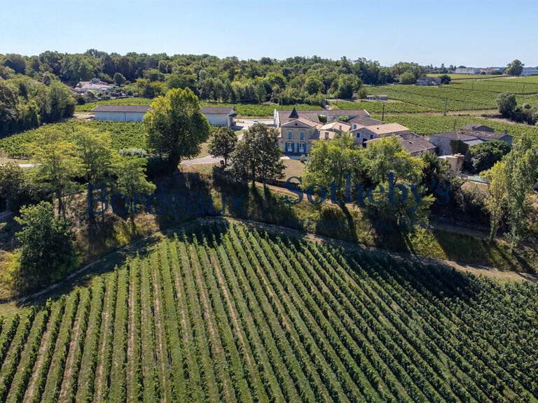 Sale Vineyard Bordeaux