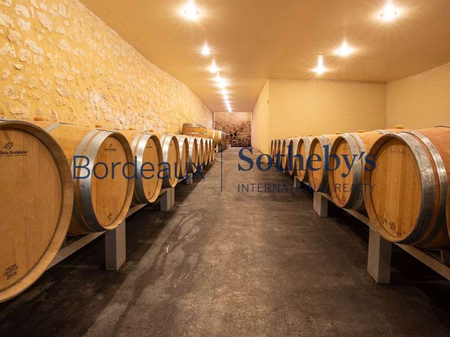 Domaine viticole Bordeaux