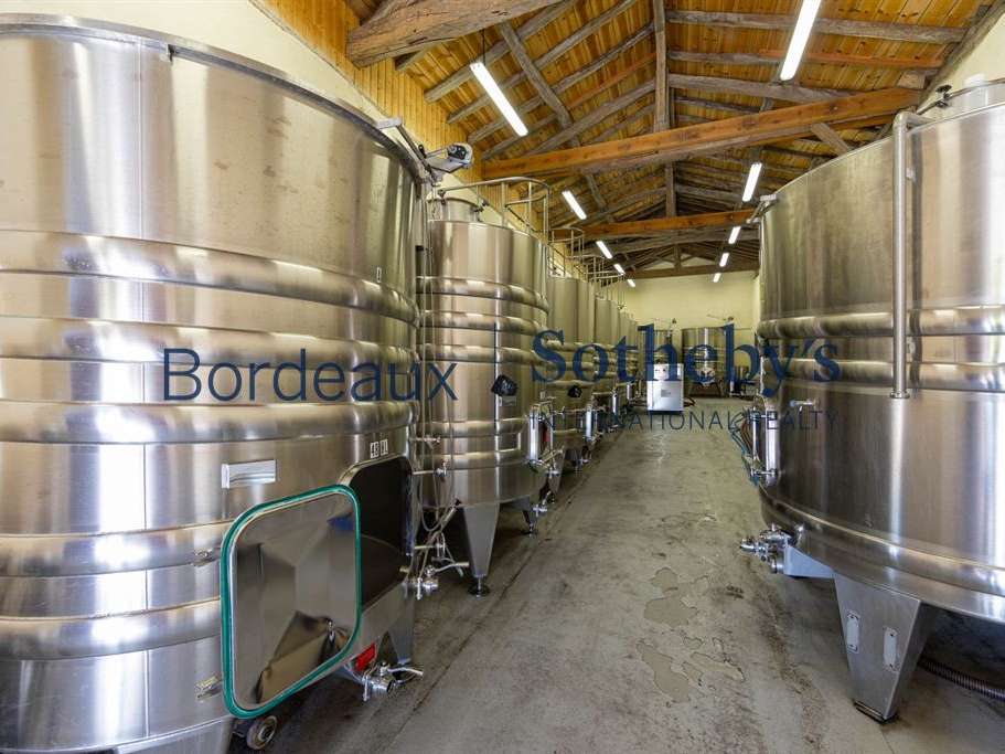Domaine viticole Bordeaux