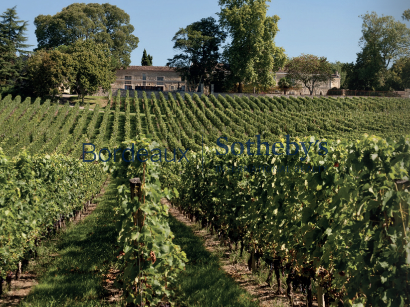 Domaine viticole Bordeaux