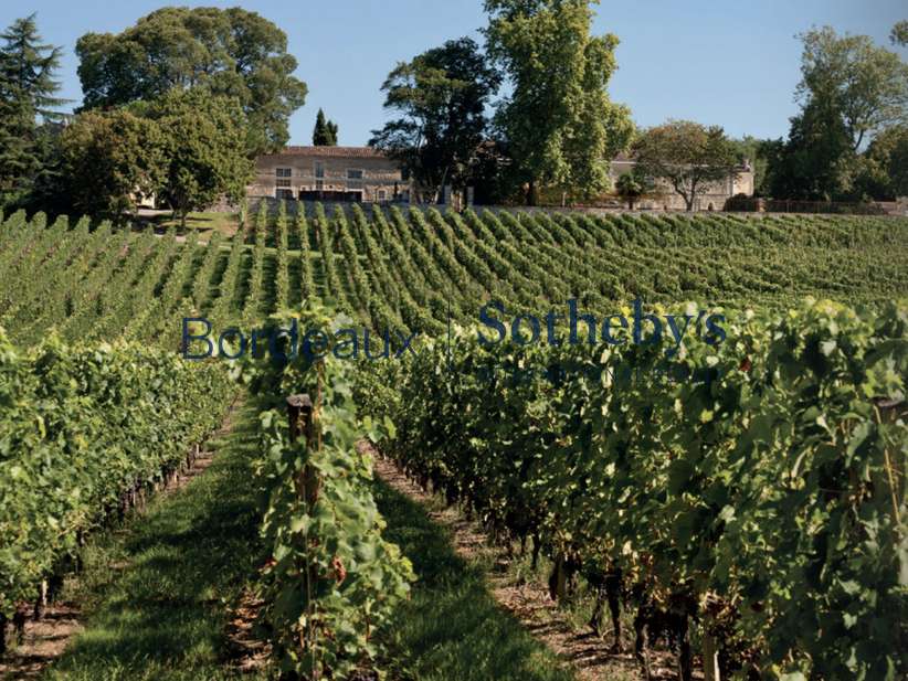 Domaine viticole Bordeaux