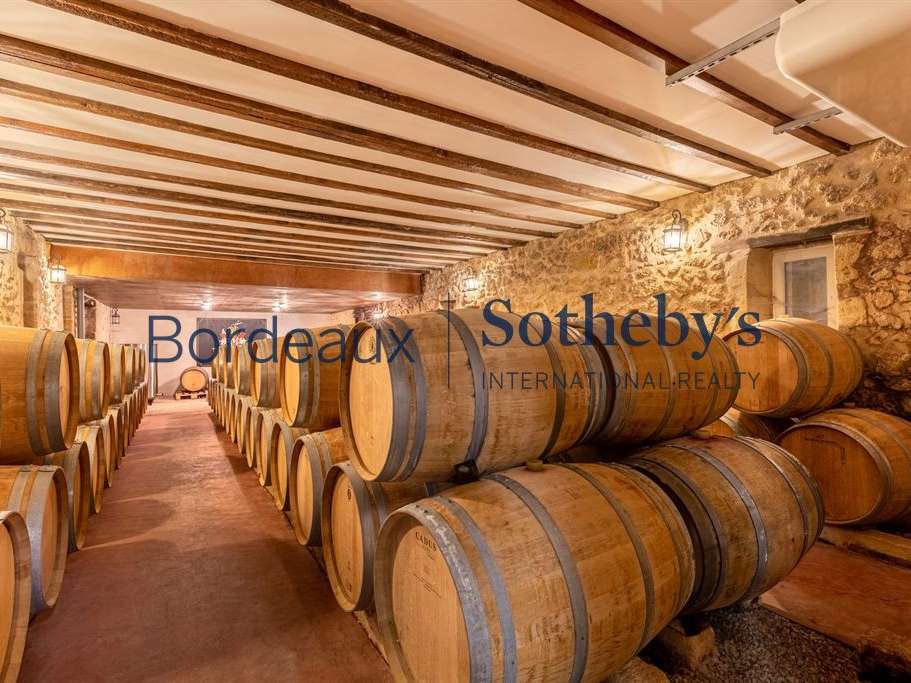 Domaine viticole Bordeaux