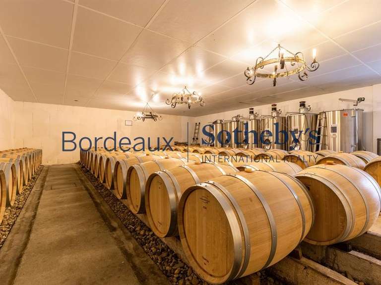 Domaine viticole Bordeaux - 230m²