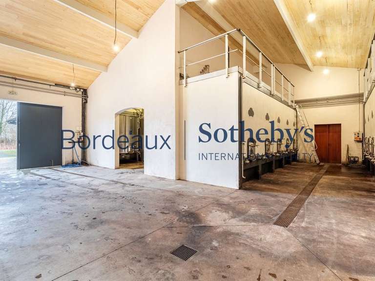 Domaine viticole Bordeaux - 240000m²