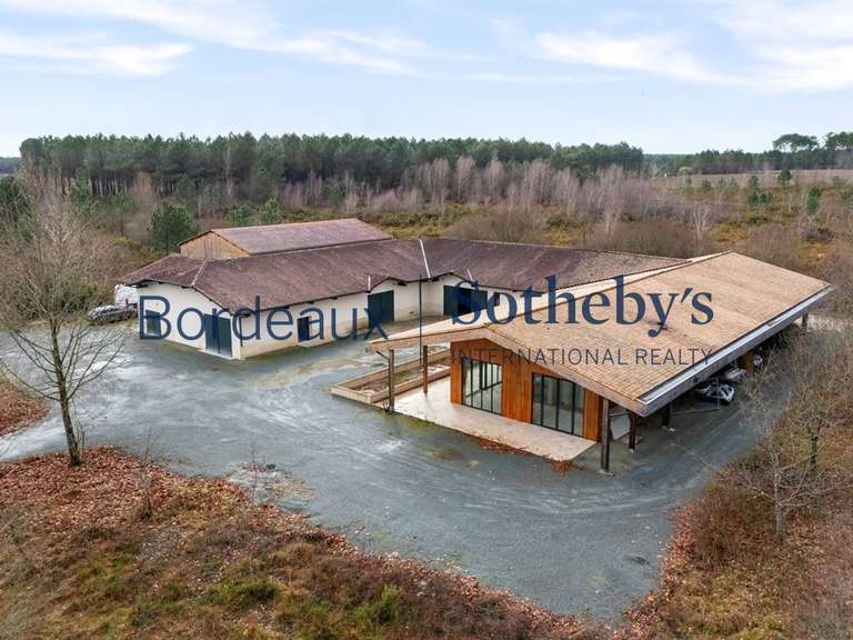 Domaine viticole Bordeaux - 240000m²