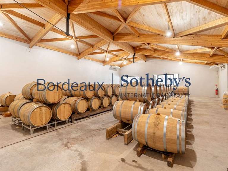 Domaine viticole Bordeaux - 240000m²