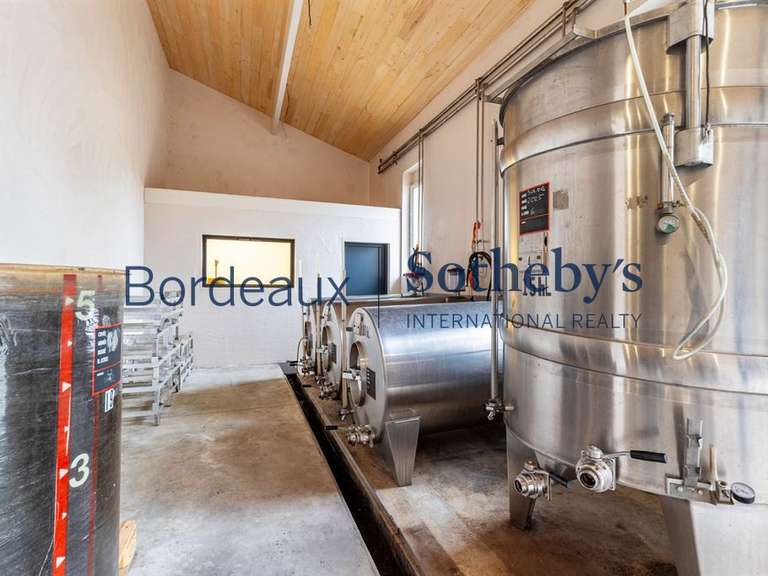 Domaine viticole Bordeaux - 240000m²