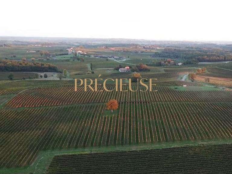 Domaine viticole Bordeaux