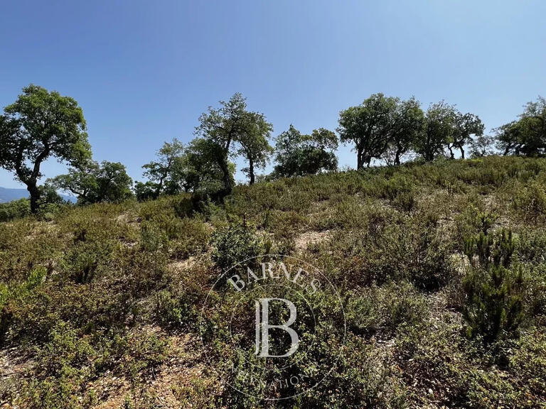 Vente Terrain Bormes-les-Mimosas
